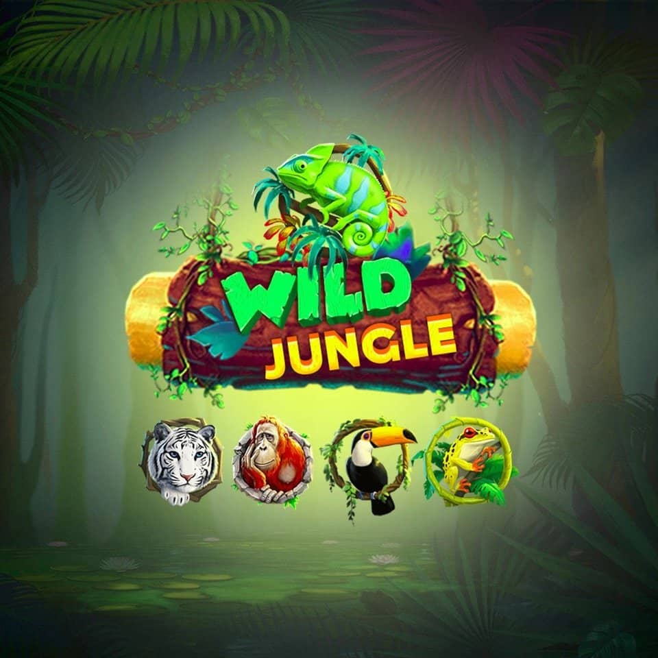 Jogo do foguetinho para ganhar dinheiro