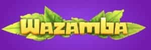 Blaze logo