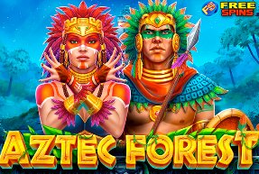 Bets esportes net